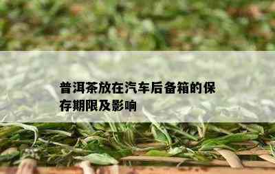 普洱茶放在汽车后备箱的保存期限及影响