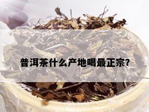 普洱茶什么产地喝最正宗？