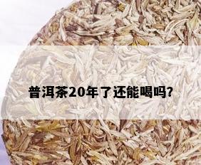 普洱茶20年了还能喝吗？