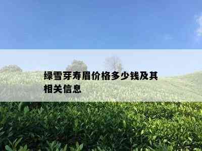 绿雪芽寿眉价格多少钱及其相关信息