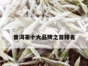 普洱茶十大品牌之首排名