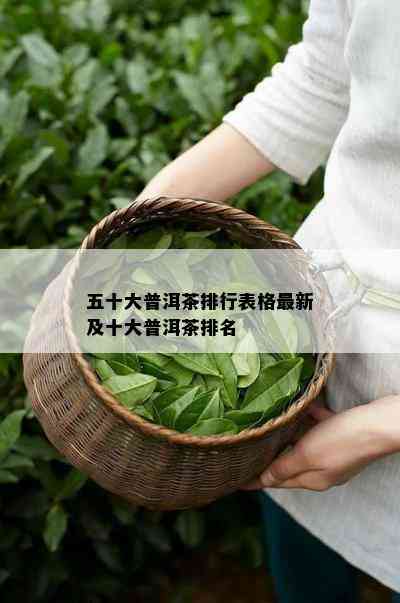 五十大普洱茶排行表格最新及十大普洱茶排名