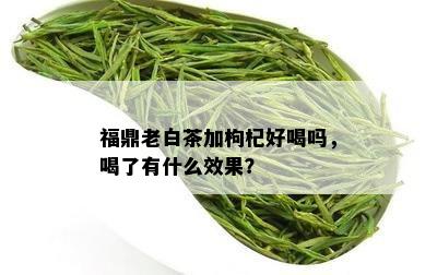 福鼎老白茶加枸杞好喝吗，喝了有什么效果？