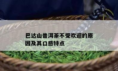 巴达山普洱茶不受欢迎的原因及其口感特点