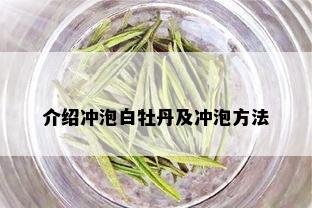 介绍冲泡白牡丹及冲泡方法