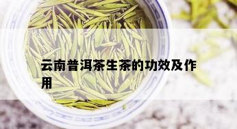 云南普洱茶生茶的功效及作用