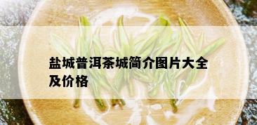 盐城普洱茶城简介图片大全及价格