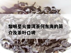 黎明星火普洱茶何东海的简介及茶叶口碑