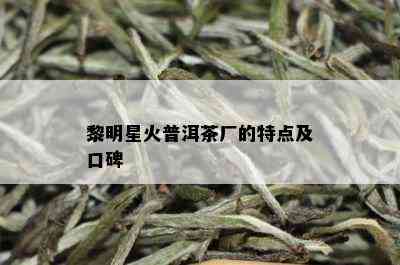 黎明星火普洱茶厂的特点及口碑