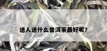 送人送什么普洱茶更好呢？