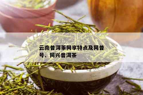 云南普洱茶同享特点及同普号、同兴普洱茶