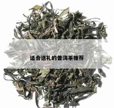 适合送礼的普洱茶推荐