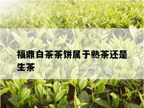 福鼎白茶茶饼属于熟茶还是生茶