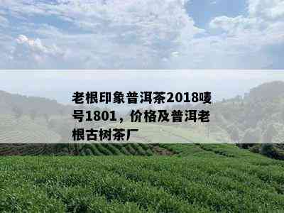 老根印象普洱茶2018唛号1801，价格及普洱老根古树茶厂