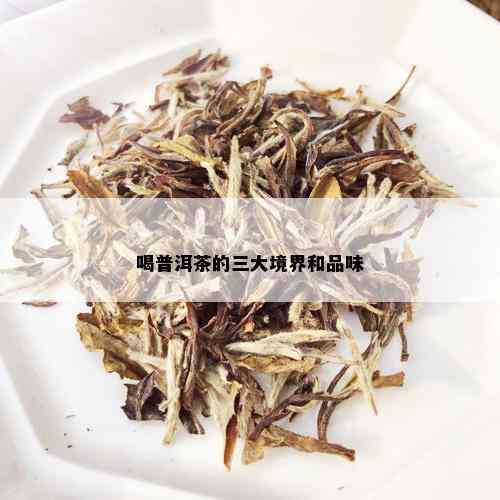 喝普洱茶的三大境界和品味