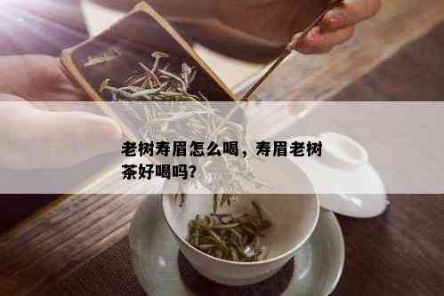 老树寿眉怎么喝，寿眉老树茶好喝吗？