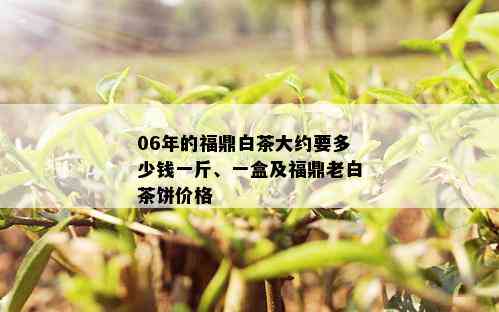 06年的福鼎白茶大约要多少钱一斤、一盒及福鼎老白茶饼价格