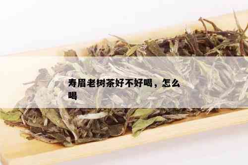 寿眉老树茶好不好喝，怎么喝