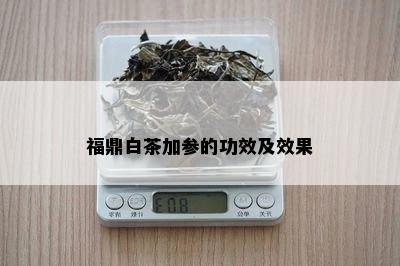 福鼎白茶加参的功效及效果