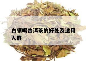 白领喝普洱茶的好处及适用人群