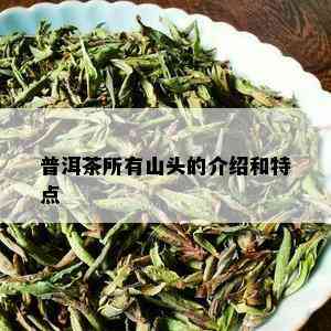 普洱茶所有山头的介绍和特点