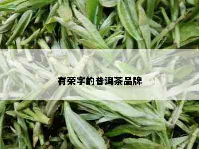 有荣字的普洱茶品牌