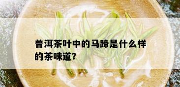 普洱茶叶中的马蹄是什么样的茶味道？