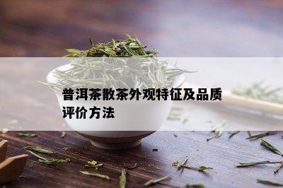 普洱茶散茶外观特征及品质评价方法