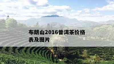 布朗山2016普洱茶价格表及图片