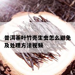 普洱茶叶竹壳生虫怎么避免及处理方法视频