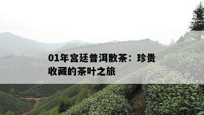 01年宫廷普洱散茶：珍贵收藏的茶叶之旅