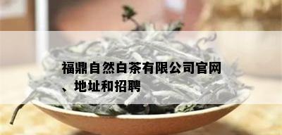 福鼎自然白茶有限公司官网、地址和招聘