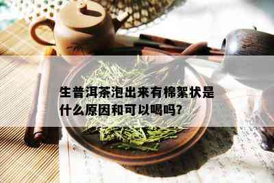 生普洱茶泡出来有棉絮状是什么原因和可以喝吗？