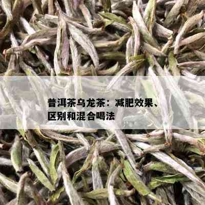 普洱茶乌龙茶：减肥效果、区别和混合喝法