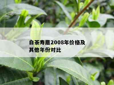 白茶寿眉2008年价格及其他年份对比