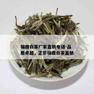 福鼎白茶厂家直销电话-品质卓越，正宗福鼎白茶直销