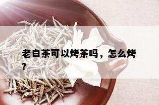 老白茶可以烤茶吗，怎么烤？