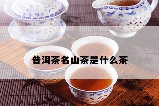 普洱茶名山茶是什么茶