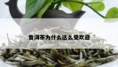 普洱茶为什么这么受欢迎