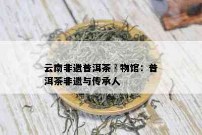 云南非遗普洱茶慱物馆：普洱茶非遗与传承人