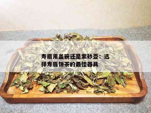 寿眉用盖碗还是紫砂壶：选择寿眉饼茶的更佳器具