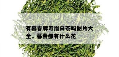 有暮春牌寿眉白茶吗图片大全，暮春都有什么花