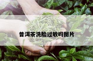 普洱茶洗脸过敏吗图片