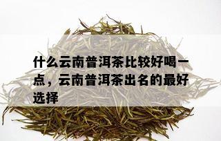 什么云南普洱茶比较好喝一点，云南普洱茶出名的更好选择