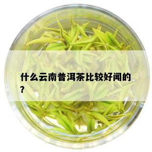 什么云南普洱茶比较好闻的？