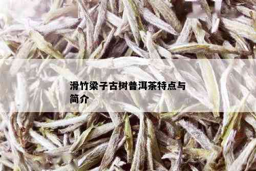 滑竹梁子古树普洱茶特点与简介