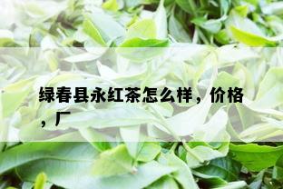 绿春县永红茶怎么样，价格，厂