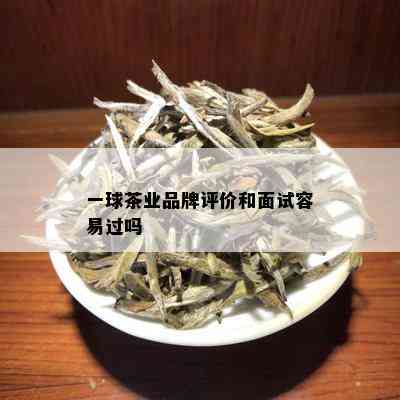 一球茶业品牌评价和面试容易过吗