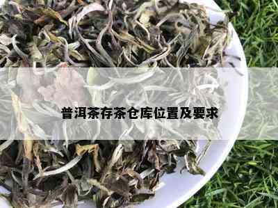 普洱茶存茶仓库位置及要求