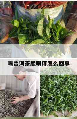 喝普洱茶 *** 疼怎么回事